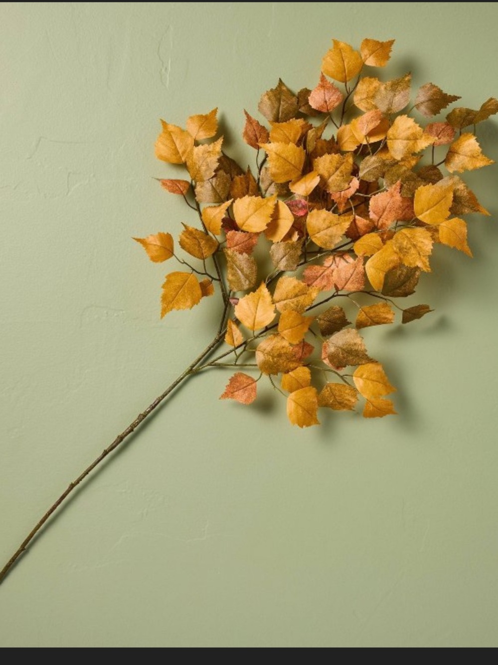 36" Fall Cottonwood XL Stem - Hearth & Hand™ with Magnolia